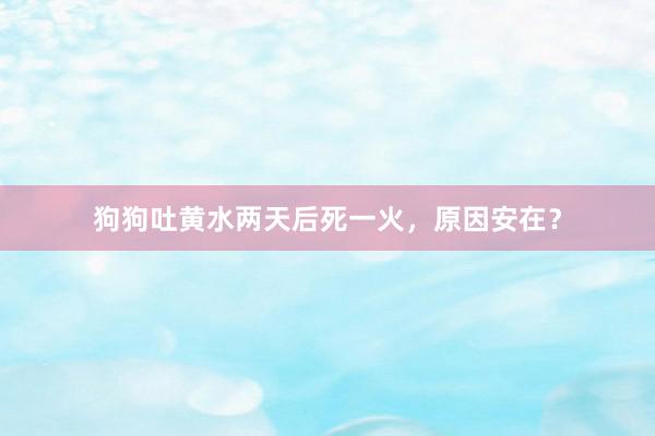 狗狗吐黄水两天后死一火，原因安在？